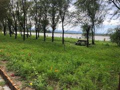 -野鸭湖国家湿地公园