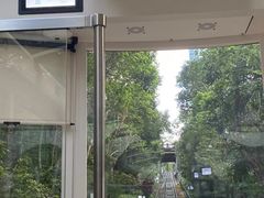 -太平山顶