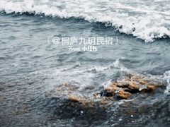 -日照海滨国家森林公园