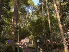 -都江堰普照寺