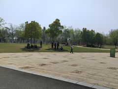 -盘龙城国家考古遗址公园