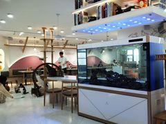 -喵园·猫主题咖啡厅·撸猫·猫咖(国贸店)