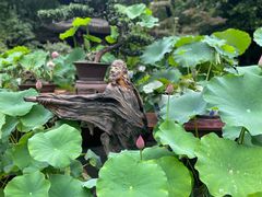 -成都杜甫草堂博物馆