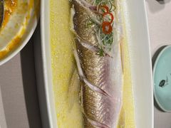 -苏帮袁Sue Cuisine(南开大悦城店)
