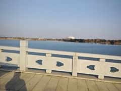 -南湖湿地公园