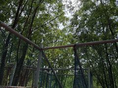 -西部长青自然儿童乐园