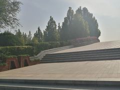 -东营·森林乐园