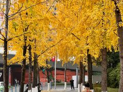 -高庙村(地铁站)