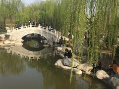 -西安青龙寺遗址景区