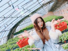 -甜心庄园·甜心草莓采摘园(西青中北店)