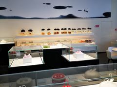 -BLACKSWAN黑天鹅(环球店)