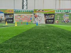 -飞梦少儿足球培训(塘桥校区)
