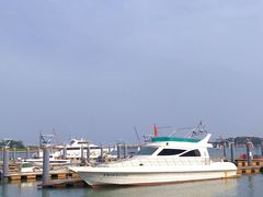 -日照海滨国家森林公园