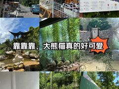 -熊猫谷