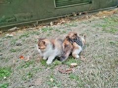 -河海大学(常州校区)