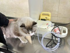 -酷宠动物医院(天通西苑店)