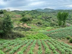 -十九峰景区-倒脱靴
