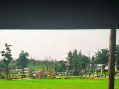-田园东方蜜桃村的田野营地