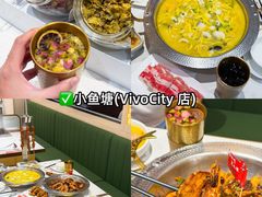 -圣淘沙天际线斜坡滑车