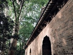 -灵谷景区
