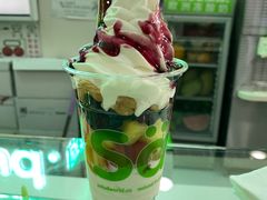 -Salud撒露欧洲冻酸奶(五道口购物中心店)