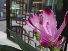 -西藏饭店·亚克·食光自助餐厅(文殊院店)