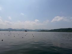 -湖滨28中餐厅·西湖宴·杭州君悦酒店