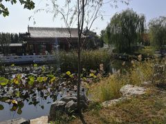 -武清南湖绿博园