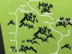 -南山植物园