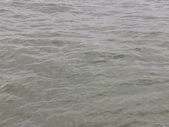 -黄金海岸环岛路