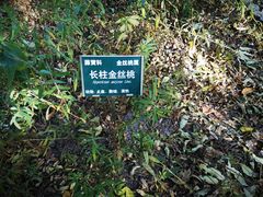 -黑龙江省森林植物园