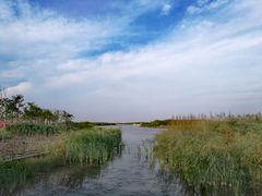 -春花秋色城市公园