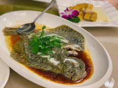 多宝鱼-祥祺酒店·豪宴酒楼