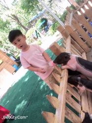 -萌宠亲子动物乐园(槐房万达店)