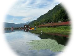 -腾冲北海湿地