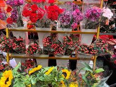 -越秀西湖花市(广州城市广场花卉店)