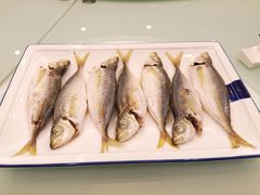 -潮汕味道·煮海餐厅(金麟大厦店)