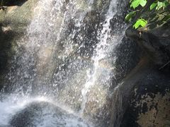 -南山植物园