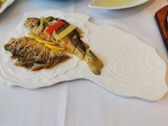 -骏莱海鲜鱼港(五角场店)