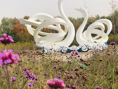 -东郊湿地公园