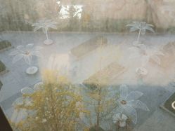 -莲芯花月子会所