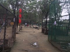 -草根堂农场