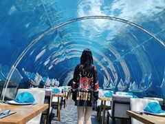 -涛·海底餐厅·美人鱼·自助餐·海底隧道(三亚海棠湾洲际度假酒店)