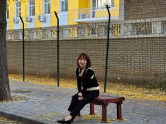 -三里屯东五街银杏大道