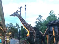 -清迈夜间动物园