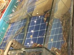 -渔家大院·地道威海菜(石岛店)