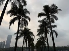 -南宁南湖公园