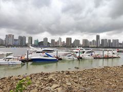 -野狸岛