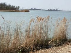 -天津东丽湖风景区