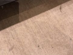-上海新国际博览中心美仑酒店